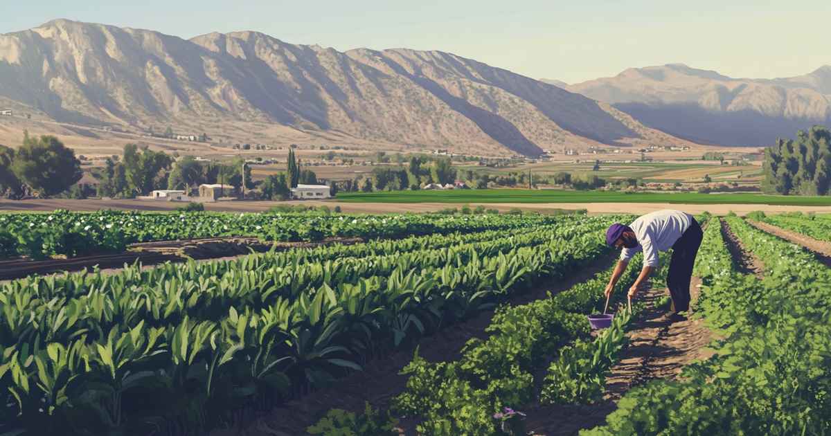 Farming In Israel Agritech: How Israel's Farming Innovations... | Metaintro