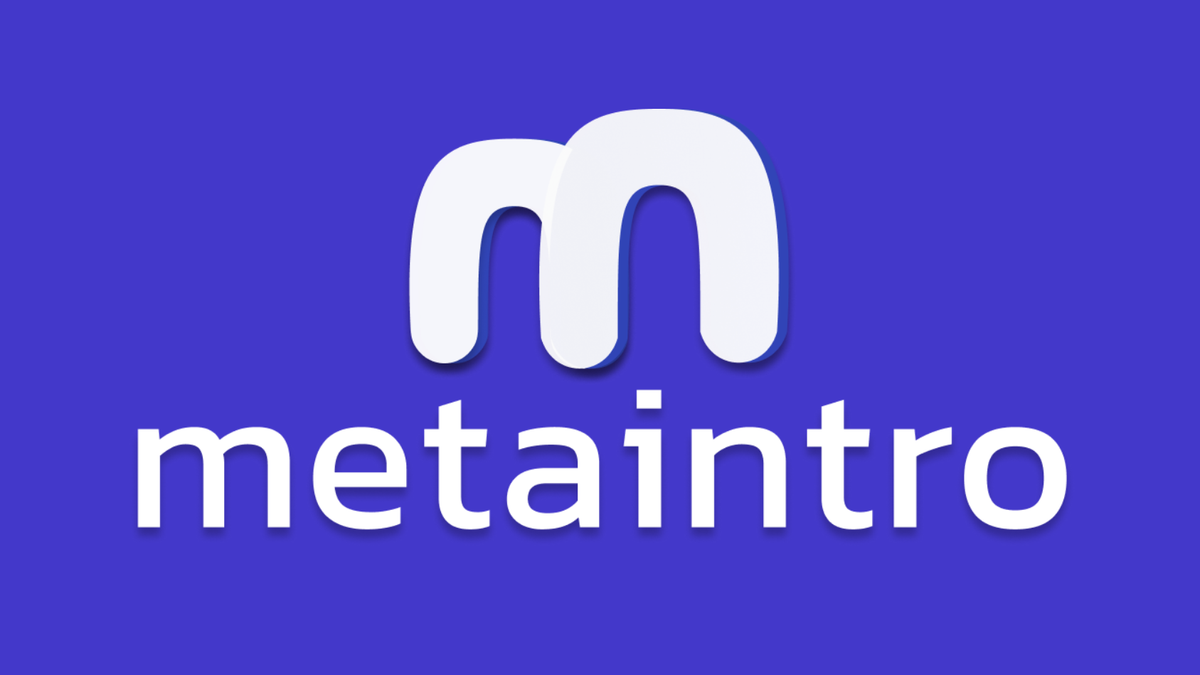 What is the Best Website for a Job? Why Metaintro Leads in 2025