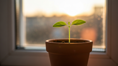 How to Job Search With AI After a Layoff