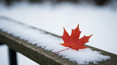 Canada's Jobless Rate Just Hit a 6-Month Low of 6.5 Percent